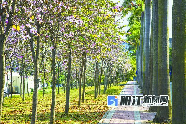 庭院“小美”扮靓乡村“大美”—广州“美丽庭院”摄影展展出④