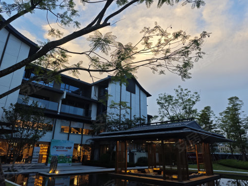 小庭院做出“大文章”