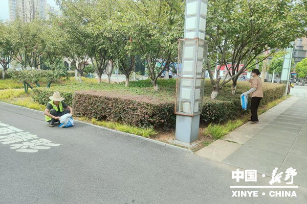 县城管局园林中心为城区苗木“加餐”护航