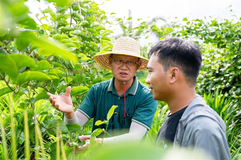 崖州区奋力谱写城乡共富新画卷