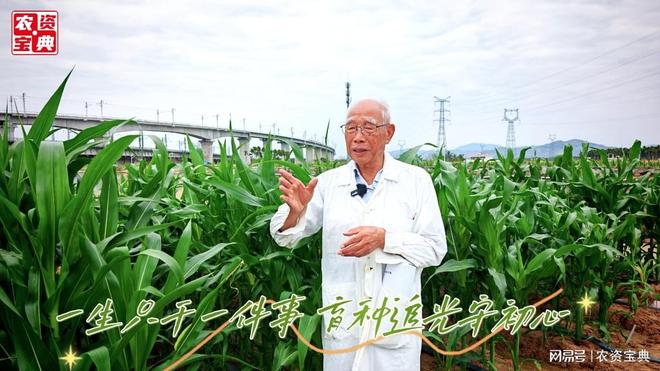 “育种田里的追光者”程相文：从青丝到白发只为一粒好种子